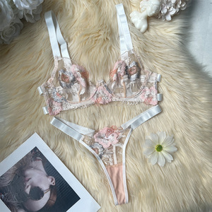 Conjunto de Lencería Femenina Primavera 2026, Transparente, Color Nude, con Bordado Floral 3D, Sexy, Rosa y Plateado, con Sujetador y Tanga - Product Image 6