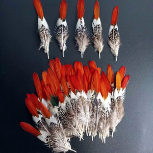 Mũi Tên Màu Đỏ Phụ Nữ Amherst Lông Gà lôi Lông Cho Lễ Hội Trang Phục Nhảy Mũ Mũ Nhà Máy Trang Trí Nội Thất - Product Image 1