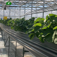 GT film plastique couvert serre extérieure agriculture commerciale cadre métallique agriculture serre