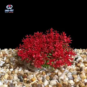 Akvaryum aksesuarları plastik yosun akvaryum dekorasyon kiti için küçük balık tankı yapay sucul bitkiler