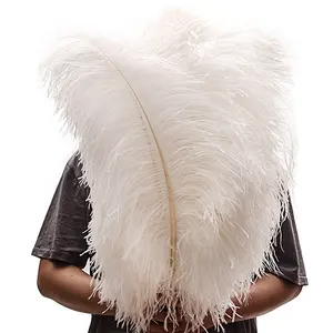 Gros Grand Pôle 65-70 cm Plumes D'autruche Pas Cher Blanc Pur Grandes Plumes D'autruche Plumes À Vendre Pas Cher