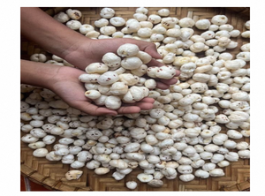 Makhana Orgánica Premium (Nueces de Zorro) – Superalimento Tostado Sin Gluten de Primera Calidad, Bocadillo Saludable y Crujiente - Product Image 2