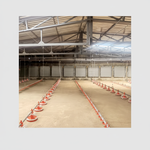 ระบบการให้อาหารและการดื่มหมูแบบทันสมัยใหม่ - Product Image 1