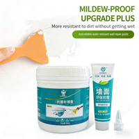 Pâte de réparation murale antibactérienne 600g, mastic pour fissures pour murs, plafonds et plaques de plâtre, séchage rapide