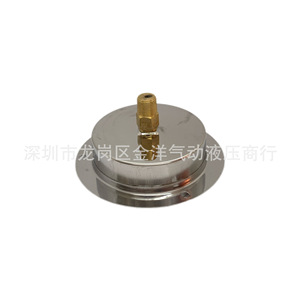 Manomètre analogique HODA 100 mm 0-250 kg pour la mesure de pression d'air, hydraulique et sous vide - Product Image 3