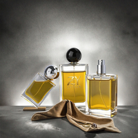 Flacon de parfum de luxe givré carré vide 30ml 50ml 100ml, emballage coloré pour diffuseur à bouchon à vis