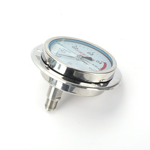 Manomètre axial en acier inoxydable Longqi Automation YN100BFZT, résistant aux chocs, pour utilisation avec air, huile, eau, hydraulique - Product Image 1