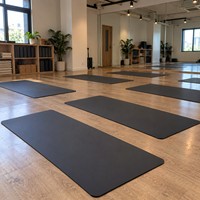 Tapis de yoga Sansd en gros, TPE écologique, antidérapant, avec logo personnalisé, tapis de Pilates, tapis de yoga personnalisé en gros, couleur personnalisée