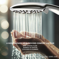 Pommeau de douche portable 6 jets 2,5 GPM en ABS écologique, design moderne en forme de graine de lotus, haute pression, économie d'eau, pour cuisine