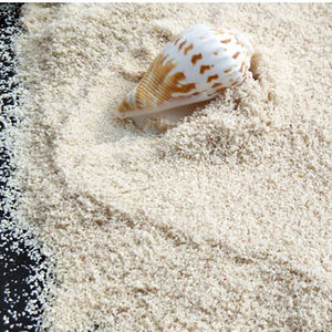 Natuurlijke <span class=keywords><strong>Aquarium</strong></span> Shell Koraal Zee Zand Filippijnen Zand <span class=keywords><strong>Aquarium</strong></span> Landschap Decoratie Cichlid Heremietkreeft Zand - Product Image 6