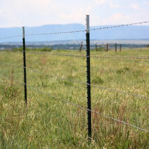 Postes de Acero Pintados de 6, 7 y 8 Pies para Cercas Agrícolas y de Granja - Product Image 3