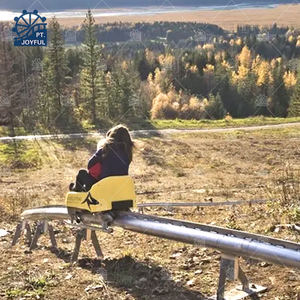 Parque de aventuras al aire libre Ridge Rail Summer Toboggan Runner Alpine Slide single Pipe Mountain Roller Coaster Parque de atracciones Paseos - Product Image 3