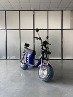 Doğrudan Fabrika Fiyatı Citycoco Alüminyum Alaşımlı Elektrikli Scooter 1000W - Hızlı DDP Kargo 60km/s Maksimum Hız