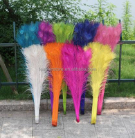 Plume de paon indienne naturelle lavée, 90-100 cm, pas chère, pour la décoration de costumes de carnaval, de danse et de spectacle DIY