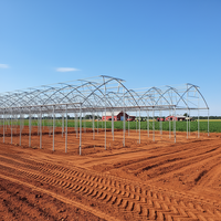 Grande serre agricole gothique Venlo à simple travée avec aérations de toit en forme de papillon, structure en acier galvanisé à chaud, couverture en film, haute performance