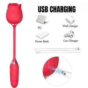 10 titreşim sokmak gül vibratörler USB Powered Clit emme meme stimülatörü Clit enayi seks oyuncakları kadınlar için - Product Image 4