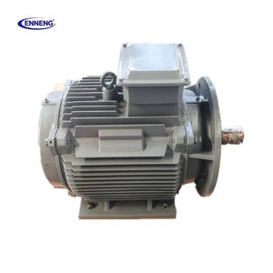 Enneng Chine Pmg Générateur Machine à mouvement perpétuel pour la production d'électricité à bas régime Ensemble d'aimants permanents Générateurs éoliens - Product Image 1