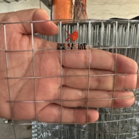 Cage à oiseaux en treillis soudé en acier inoxydable avec finition galvanisée et revêtement PVC, services de pliage et de découpe
