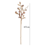 Grensoverschrijdende gedroogde Luo Han Guo takken, vruchten, harsambachten, gedroogde bloemen, huisdecoratie, bloemkunst, fotografie-accessoires, Scandinavisch