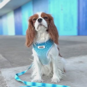 Blue Sequin Gradient Fashion Neues Modell Hunde hals geschirr Escape Proof Custom Design Hunde geschirr - Product Image 4