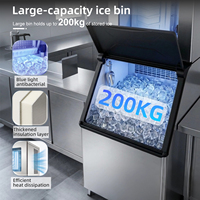 Machine à glaçons 250 kg, refroidie par eau, grande capacité, économie d'énergie, stockage 60 kg, autonettoyante, pour la production en usine de glace
