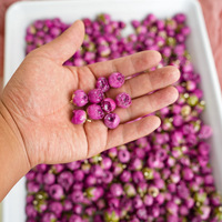 Liontin Bunga Kering Trendy dengan Lem Tetes, Bunga Asli 3D, Manik-manik Mawar untuk Aksesoris DIY Anting Kalung Gelang