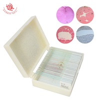 Frog Embryo Prepared Microscope Slides 28Items Microscope Prepared Teaching Slides With Wooden Case