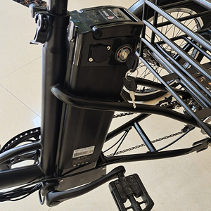 รถสามล้อไฟฟ้า CE แบตเตอรี่ 36V10Ah กำลังไฟ 250W รถสามล้อสำหรับผู้สูงอายุ - Product Image 6