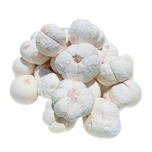 Mangoustan déshydraté naturel croustillant, collation de fruits en vrac, fruits secs, qualité export usine Vietnam - Product Image 1