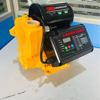 Pompe à eau auto-amorçante domestique à levage élevé 220V-pour l'extraction de l'eau de puits et le renforcement des canalisations d'eau du robinet