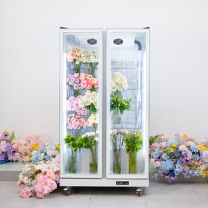 Refrigerador Comercial de <span class=keywords><strong>2</strong></span> <span class=keywords><strong>Puertas</strong></span> para Exhibición de Flores Frescas, Refrigerador Vertical con Puerta de Vidrio para Exhibición de Flores, Refrigerador para Flores Frescas - Product Image 3