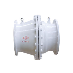 Valvola di Non Ritorno Silenziosa HC42T: Previene il Martello Idrico e il Rumore delle Tubature nei Sistemi Idraulici - Product Image 1