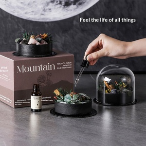 Wilderness Style Aroma Gift Box <b>Essential</b> Oil Diffuser Stone Set Long Lasting Scent For <b>Home</b> Decor And Gifts - Product Image 1
