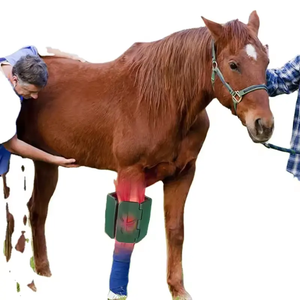 Vendeur chaud thérapie laser à la lumière infrarouge pour cheval de course soulagement de la douleur humaine arthritiques dispositif de physiothérapie vétérinaire - Product Image 6