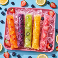 Eco-vriendelijke, voedselveilige, wegwerp PE plastic ijslollyzakjes met ritssluiting, DIY ijslollyvormpjes voor fruit smoothies, sap en yoghurt