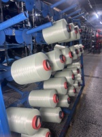 Fil de Soie en Nylon DTY Haute Qualité et Haute Ténacité 100% Nylon 100D/68F Certifié NIM/HIM/SIM pour la Fabrication de Chaussettes et la Couture
