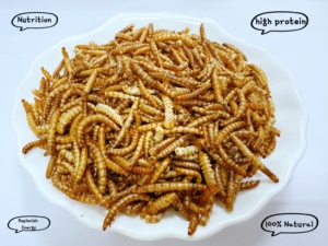 Vers de farine séchés, additif alimentaire riche en protéines, aliment pour bétail, nourriture pour oiseaux, appât pour poissons, nourriture pour animaux de compagnie, alimentation aquatique - Product Image 1