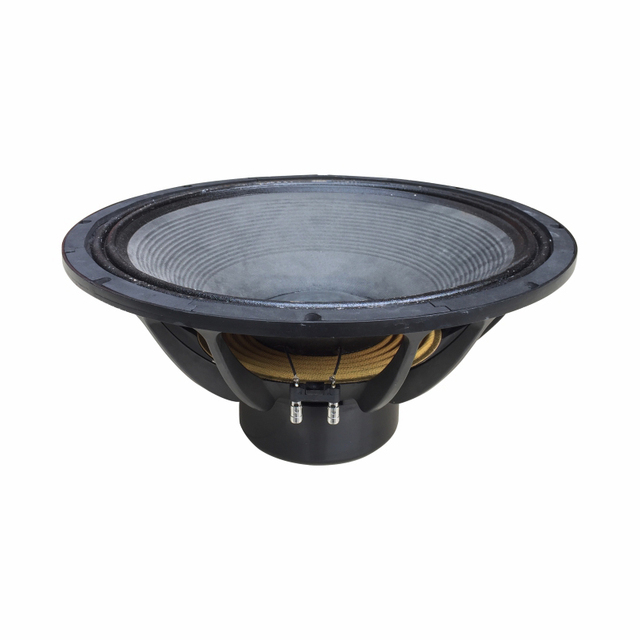 21'' Loudspeaker 2000W Pro Audio Sound PA Line Array System Super Bass Neodymium 21 Inch Subwoofer