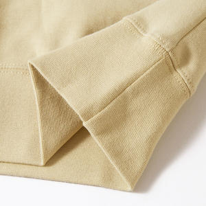 Wholesale Heavyweight Drawstring Pullover Hoodie Custom Puff Print Logo Terry Cotton Loose Unisex Multiple Color Hoodies for Men - Product Image 4