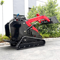 Spedizione Gratuita Minipala Cingolata Compatta Cinese da 500 kg (0,5 tonnellate) con Accessori e Cingoli