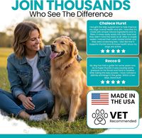 Soins dentaires pour animaux de compagnie, soutien immunitaire, supplément probiotique en poudre, absorption rapide, nettoyage des dents, santé bucco-dentaire, rafraîchisseur d'haleine pour chiens et chats