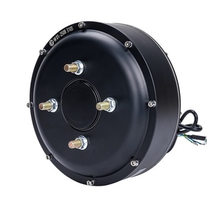<span class=keywords><strong>12</strong></span>인치 고토크 스쿠터 휠 모터 브러시리스 기어리스 허브 모터 골프 카트 허브 모터 휠 허브 모터 - Product Image 1