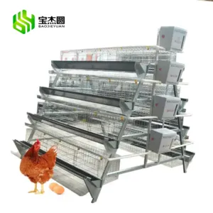 Fabrika toptan fiyat A tipi tavuk çiftliği ekipmanları pil tabakası otomatik tavuk kafesi yumurta toplama sistemi ile