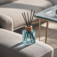 Coffrets de diffuseurs à bâtonnets écologiques, parfum d'intérieur de luxe lavande et fruits, logo personnalisé, marque privée