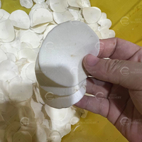 Paddestoelsnijmachine Met Hoge Capaciteit Koningsoester Champignonhaksnijder Paddenstoelen Snijapparatuur