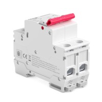 Disjoncteur miniature 2P 6kA AC sur rail DIN avec courbe C CE 230V, protection contre les surcharges pour boîtier de distribution commercial Chayo