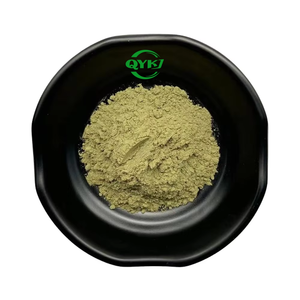 Fornitura all'ingrosso di polvere vegetale naturale 100% di alta qualità, polvere di cavolo nero biologico puro - Product Image 2