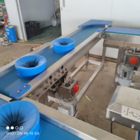 Continue fruit- en groenteverwerkingslijn na de oogst: week-, was-, sorteer- en luchtdroogmachine voor groentefabrieken