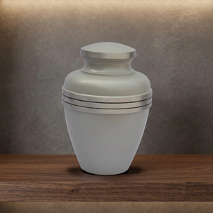 Urne funéraire métallique pour animaux de compagnie adultes, finition argentée, écologique, durable, biodégradable, monument commémoratif, souvenir, urne de table pour cendres - Product Image 1