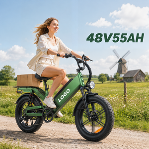 D55 <b>Electric</b> City Bike 20 Inch Aluminum Alloy Frame for Woman <b>Electric</b> Bicycle Lady City E Bike 750W - Product Image 1